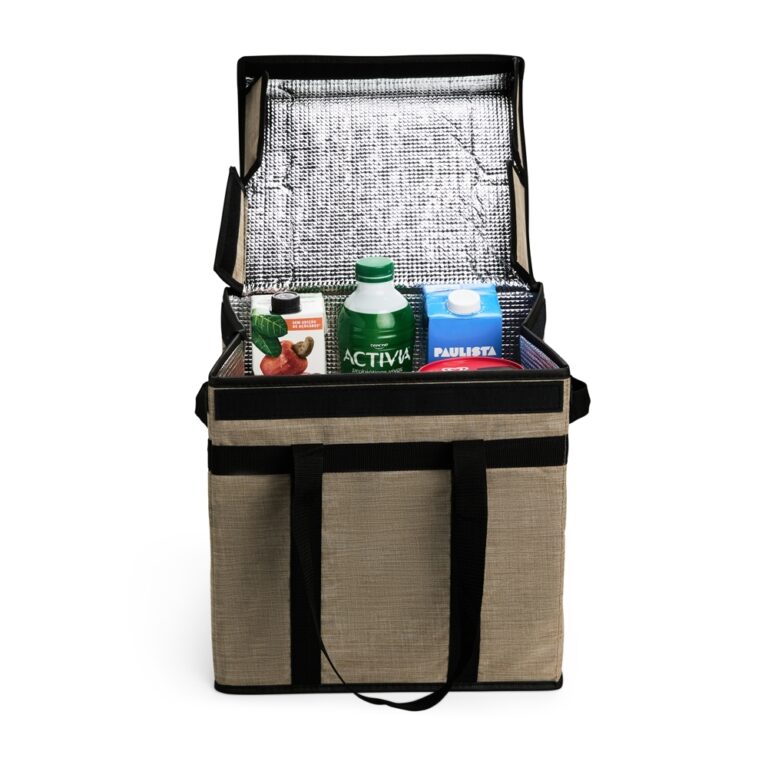 Bolsa-Termica-31-Litros-24326d6-1755697886